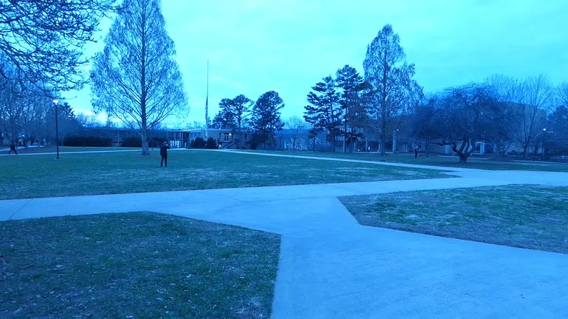 Frisbee on the Quad